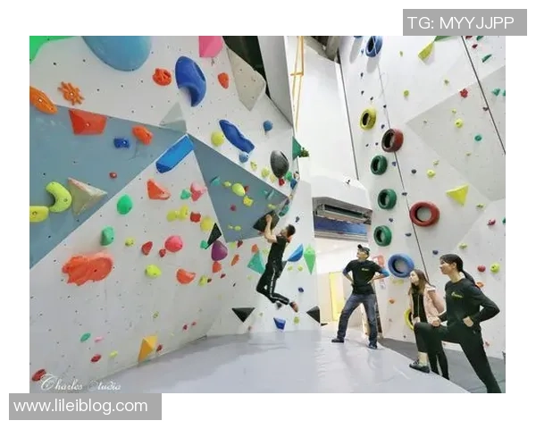 南京攀岩队实力分析与发展潜力探讨攀岩运动的未来展望