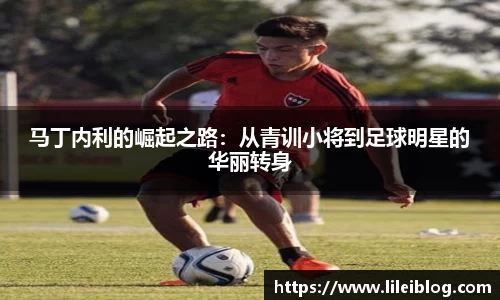 马丁内利的崛起之路：从青训小将到足球明星的华丽转身